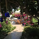 酒店 开贝尔戈西克酒店 3*