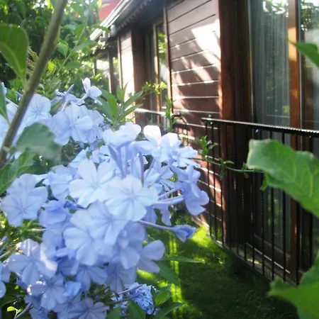 Kybele Gocek 3* Гёчек