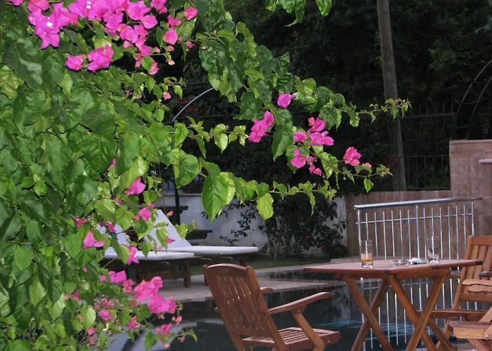 キベレ ゴジェク