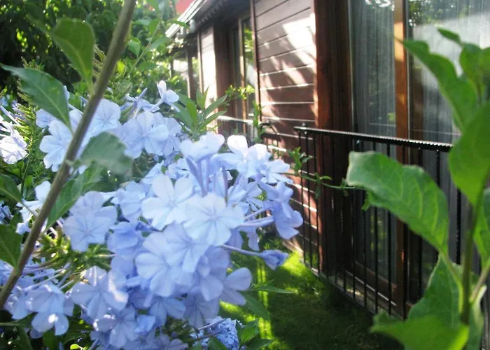 Kybele Gocek 3* Göcek