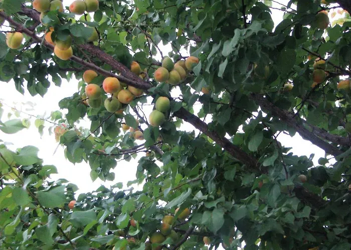 Kybele Gocek Hotel Gocek (Fethiye)